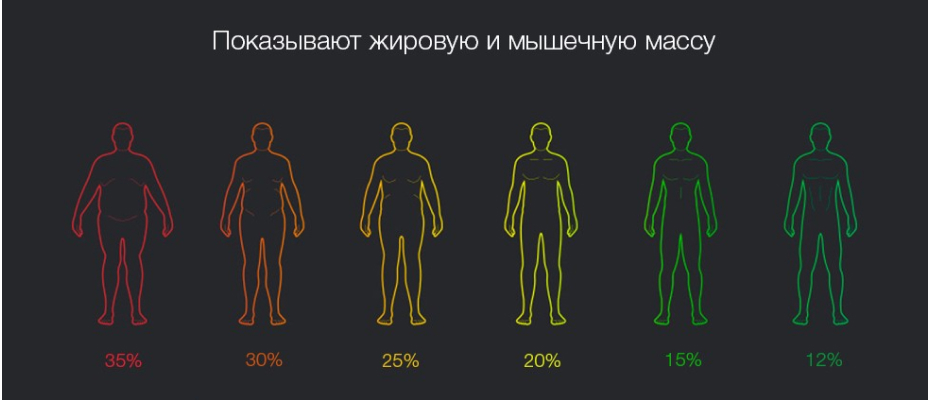 Mi Body Composition Scale 2 индексы