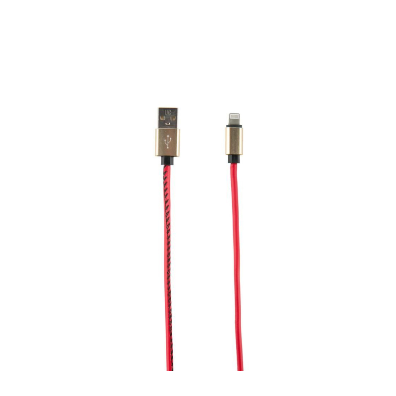 USB/8 pin для Apple (2м)