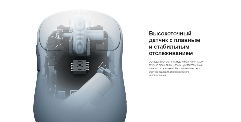 Mouse3_6.png
