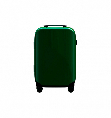 Luggage Iceland 24